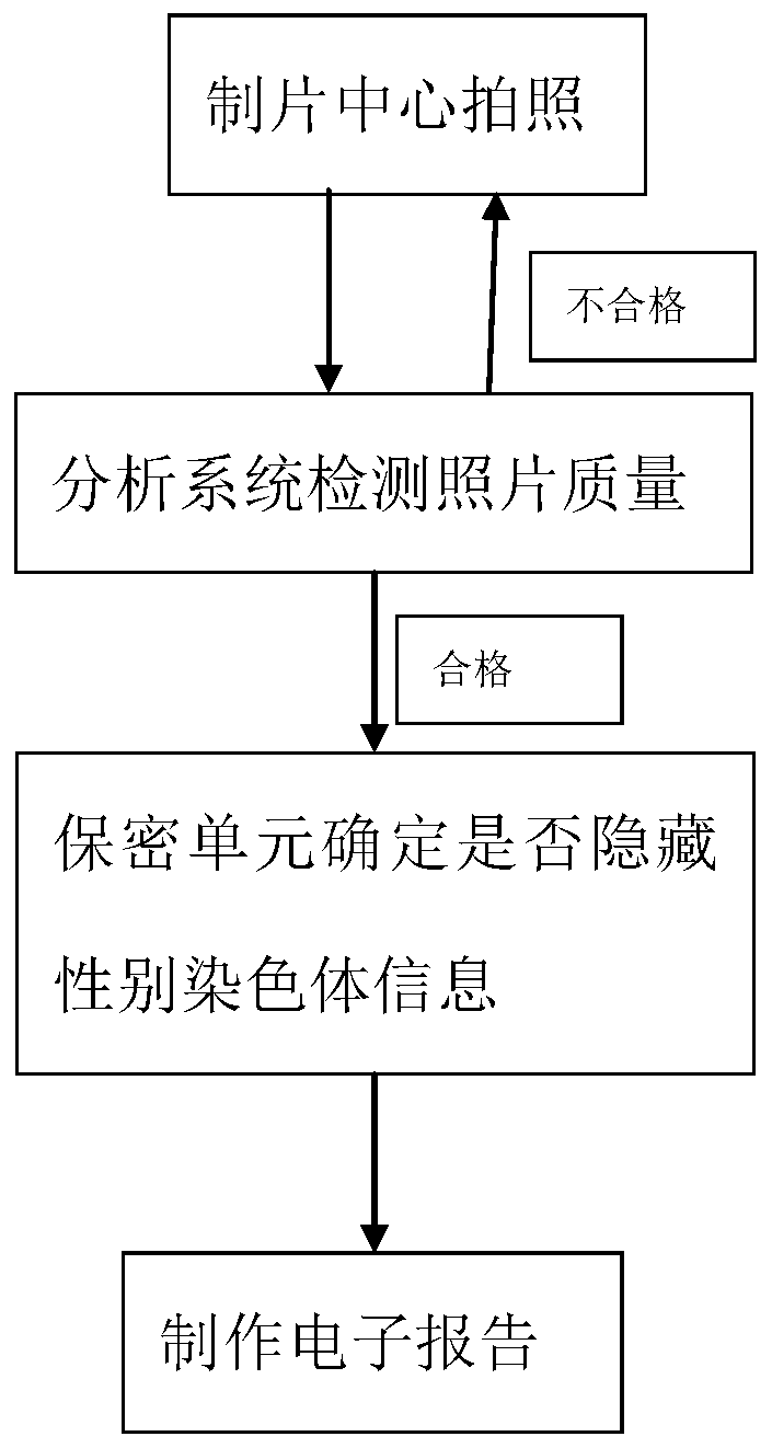 Karyotype detecting system for automatically hiding sexuality information and method