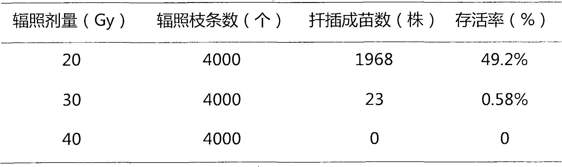 Radiation breeding method for gardenia