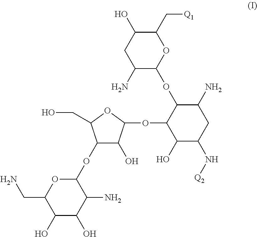 Antibacterial aminoglycoside analogs