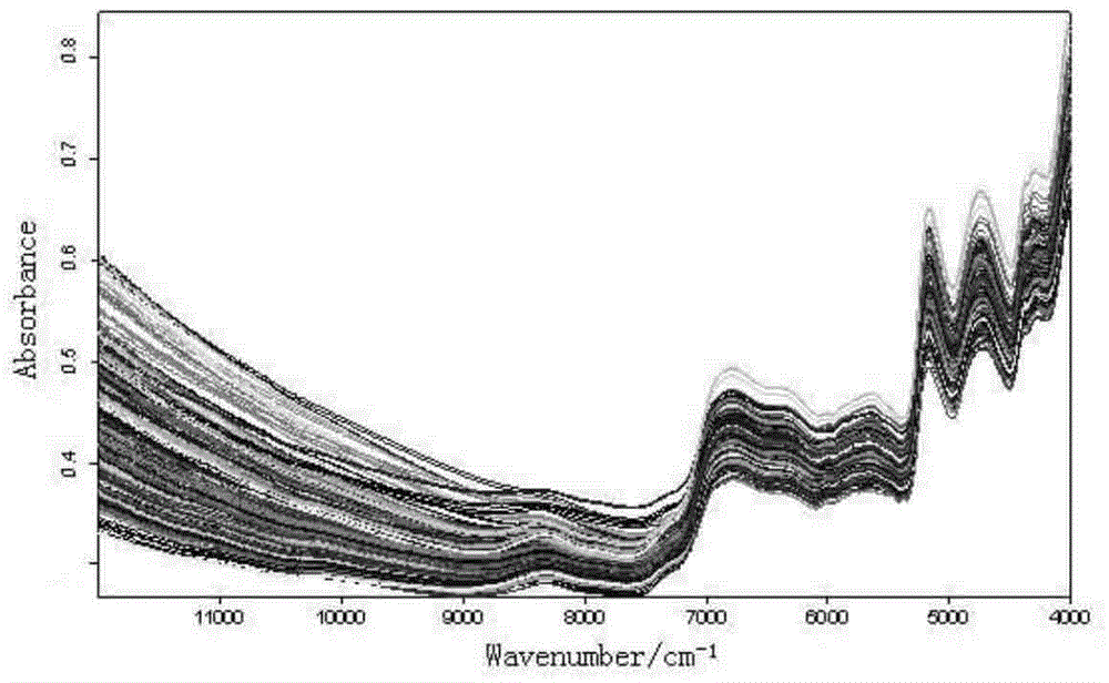 Method for rapidly determining extractum content in radix puerariae through near infrared spectroscopy