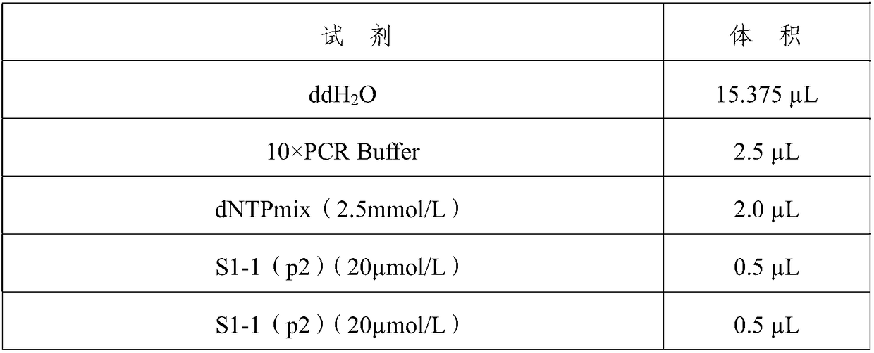 Porcine epizootic diarrhea virus variant strain and application thereof