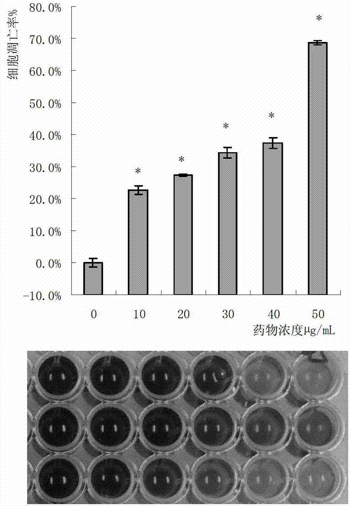 Auricularia polytricha protein extract and anti-tumor application thereof