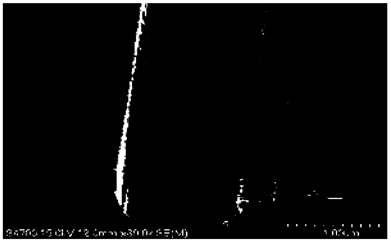 Etching agent composition, metal pattern forming method and array substrate manufacturing method