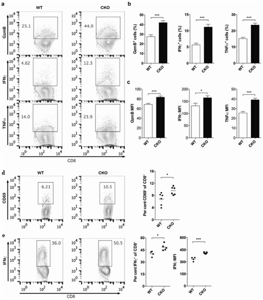 Use of acyl-CoA:cholesterol acyltransferase Acat1 inhibitors