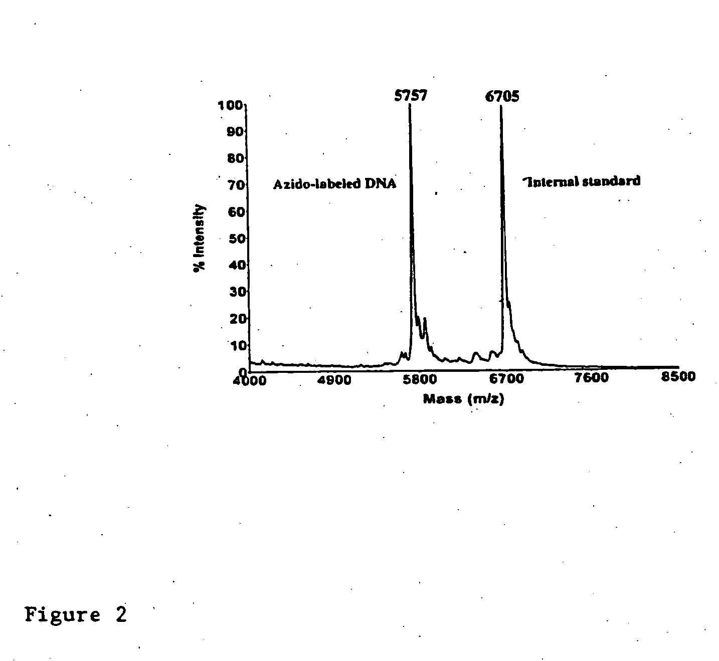 Biomolecular coupling methods using 1,3-dipolar cycloaddition chemistry