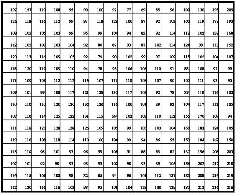 Overlapping rectangular subpattern-based non-symmetry and anti-packing model (NAM) image representation method