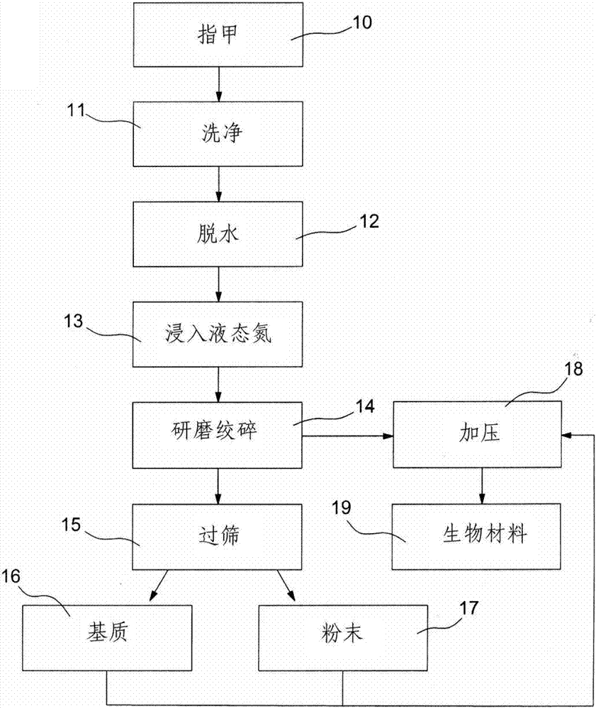 Method for manufacturing material for repairing human tissue by adopting autologous fingernails