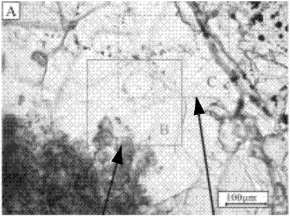 Research method for stratum paleofluid salinity evolution history