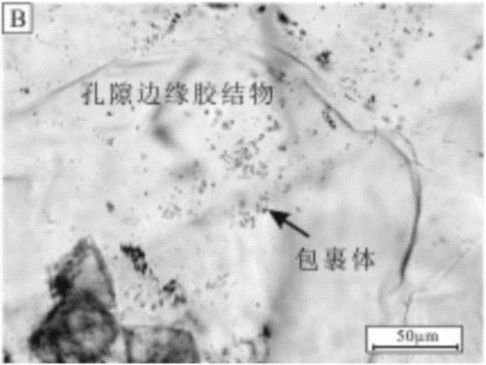 Research method for stratum paleofluid salinity evolution history