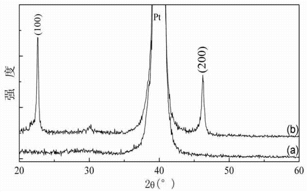 Method for preparing highly oriented (100) lead-free piezoelectric thin film