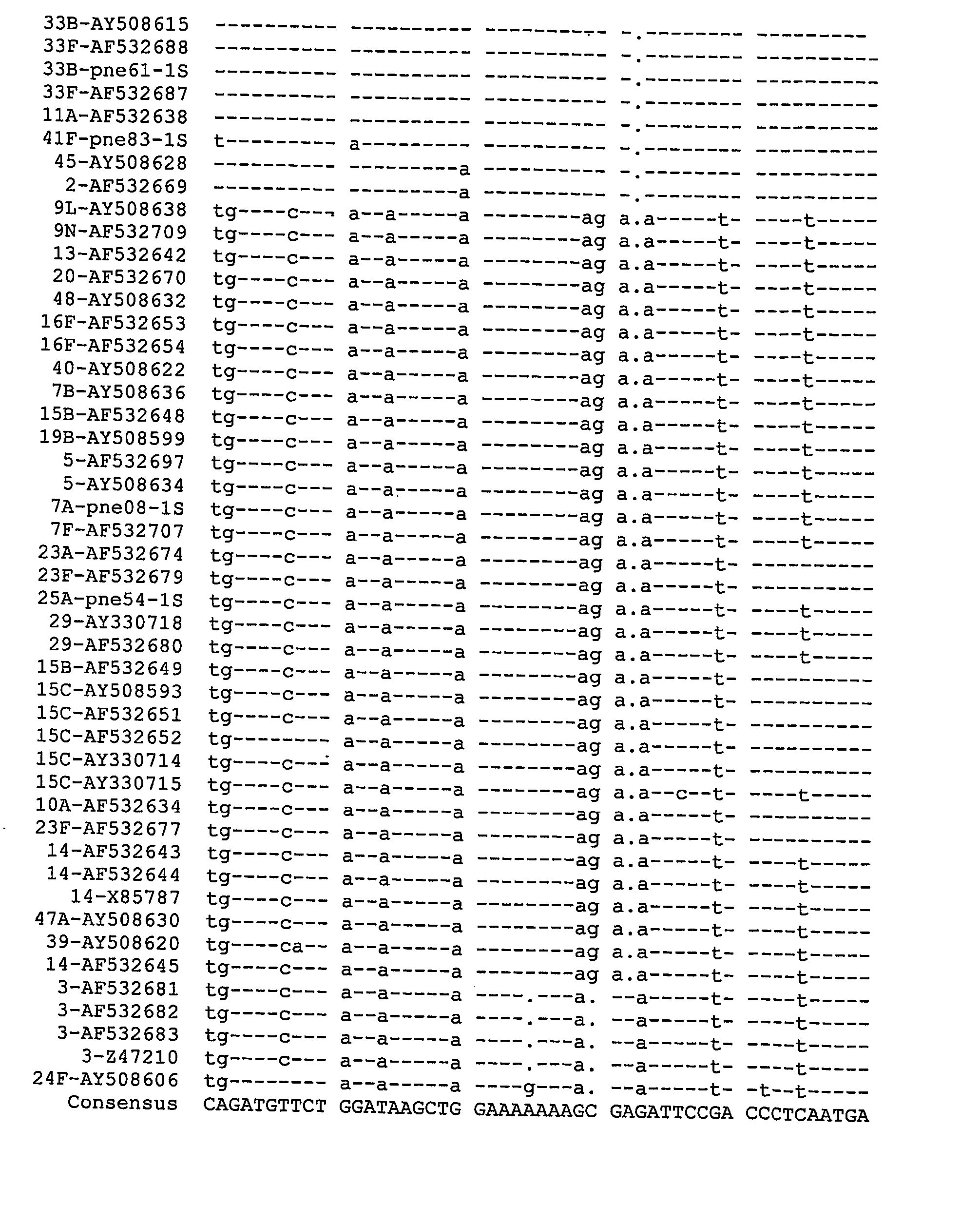 Identification of streptococcus penumoniae serotypes