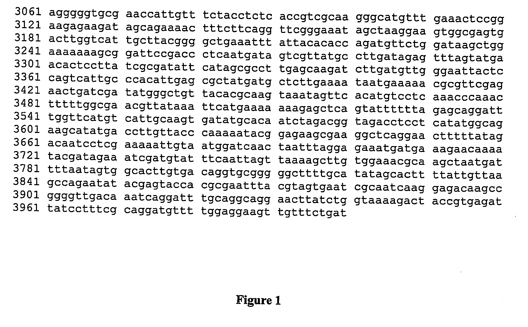 Identification of streptococcus penumoniae serotypes