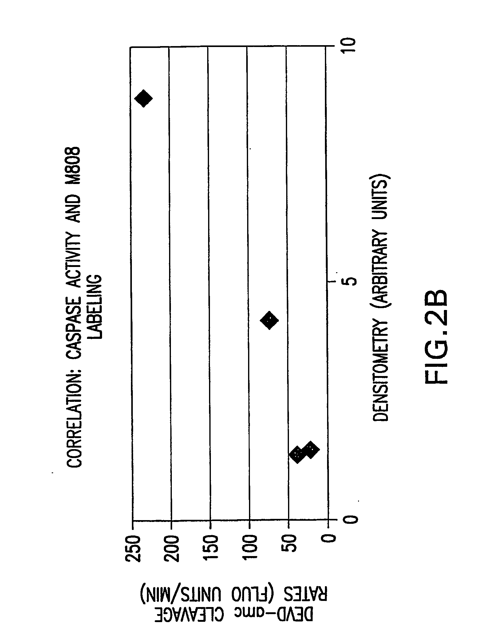 Irreversible caspase-3 inhibitors as active site probes