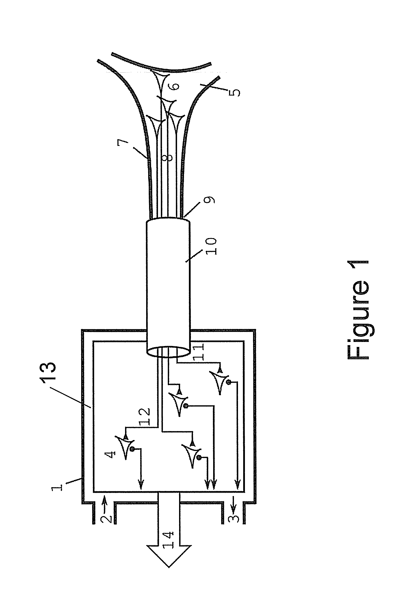 Bio-Hybrid Implant for Connecting a Neural Interface With a Host Nervous System