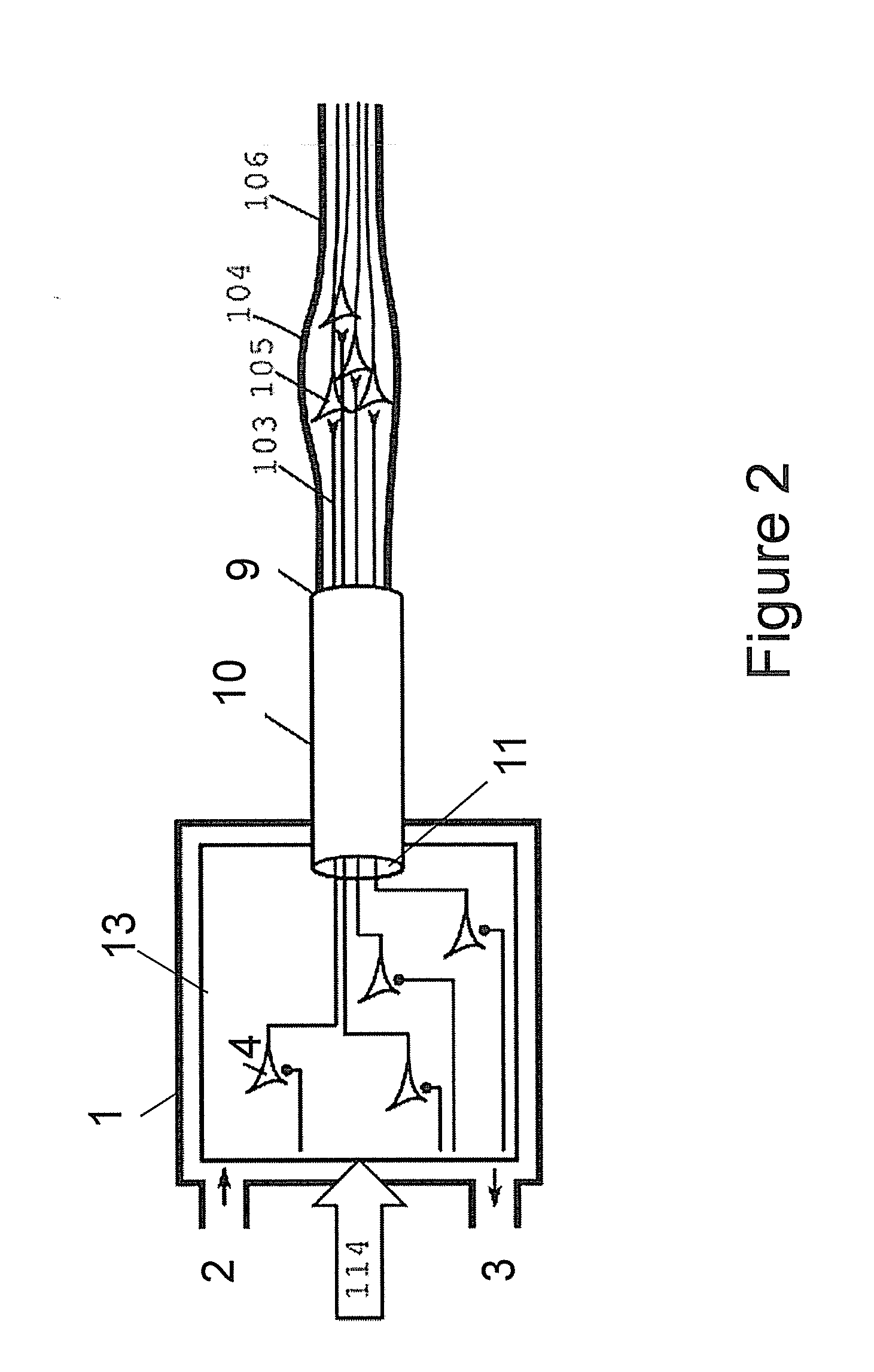 Bio-Hybrid Implant for Connecting a Neural Interface With a Host Nervous System