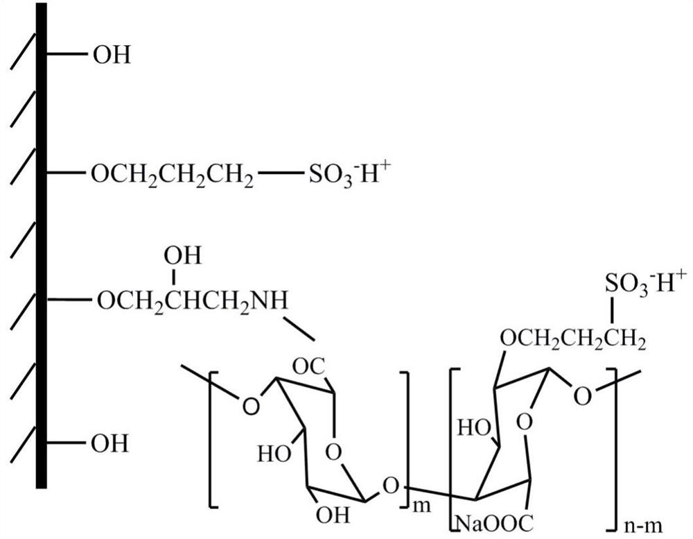 Sulfonated sodium alginate grafted agarose gel chromatographic medium and its preparation method and application