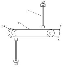 Wild boar water bath device for animal husbandry production