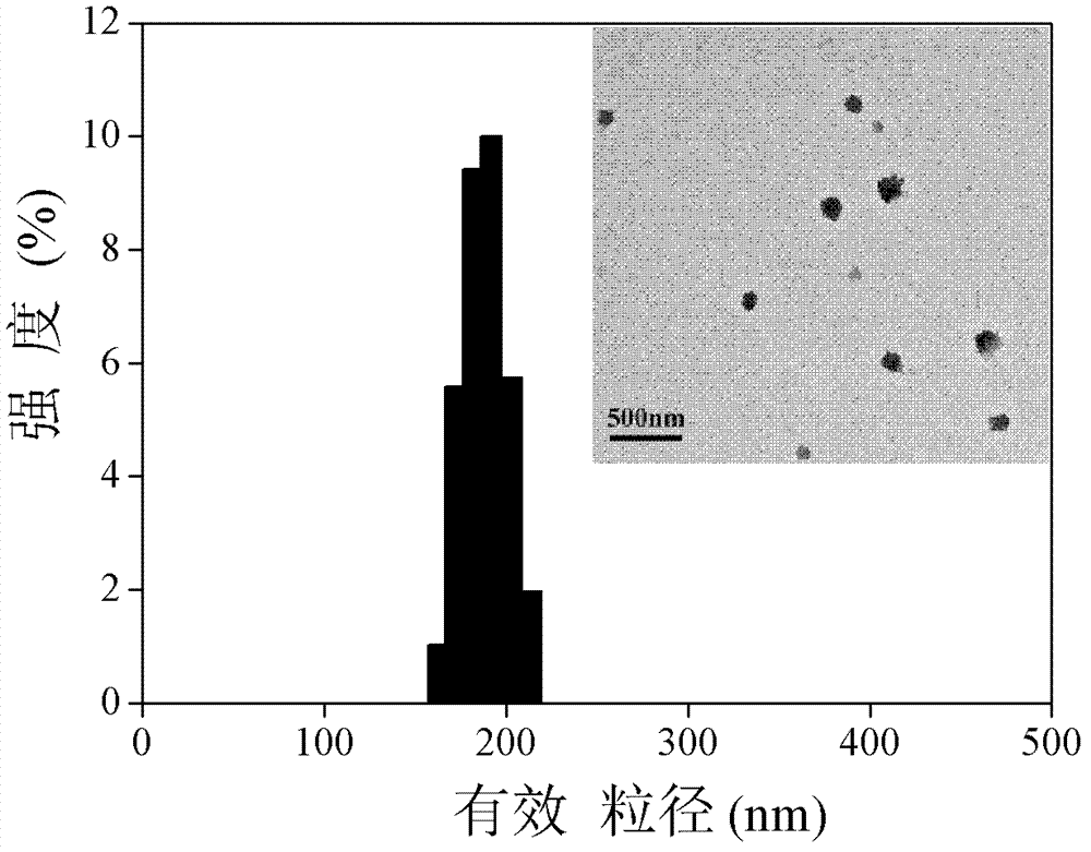 Amphipathic chitosan derivative and preparation method and application thereof