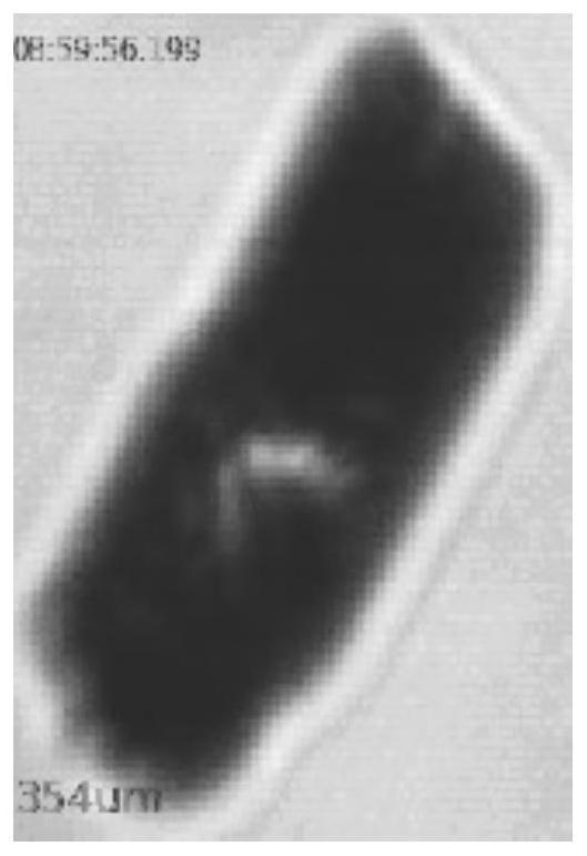 A pca-based optimal classification and recognition method for svm cloud particles