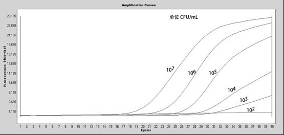 Kit for rapidly detecting bordetella pertussis and detection method