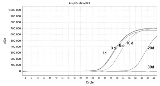 Kit for rapidly detecting bordetella pertussis and detection method