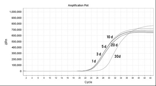 Kit for rapidly detecting bordetella pertussis and detection method