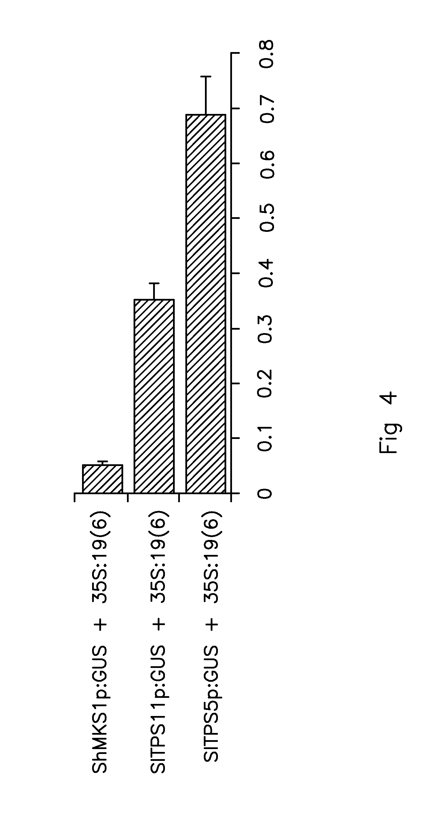 Transcription factor modulating terpene biosynthesis