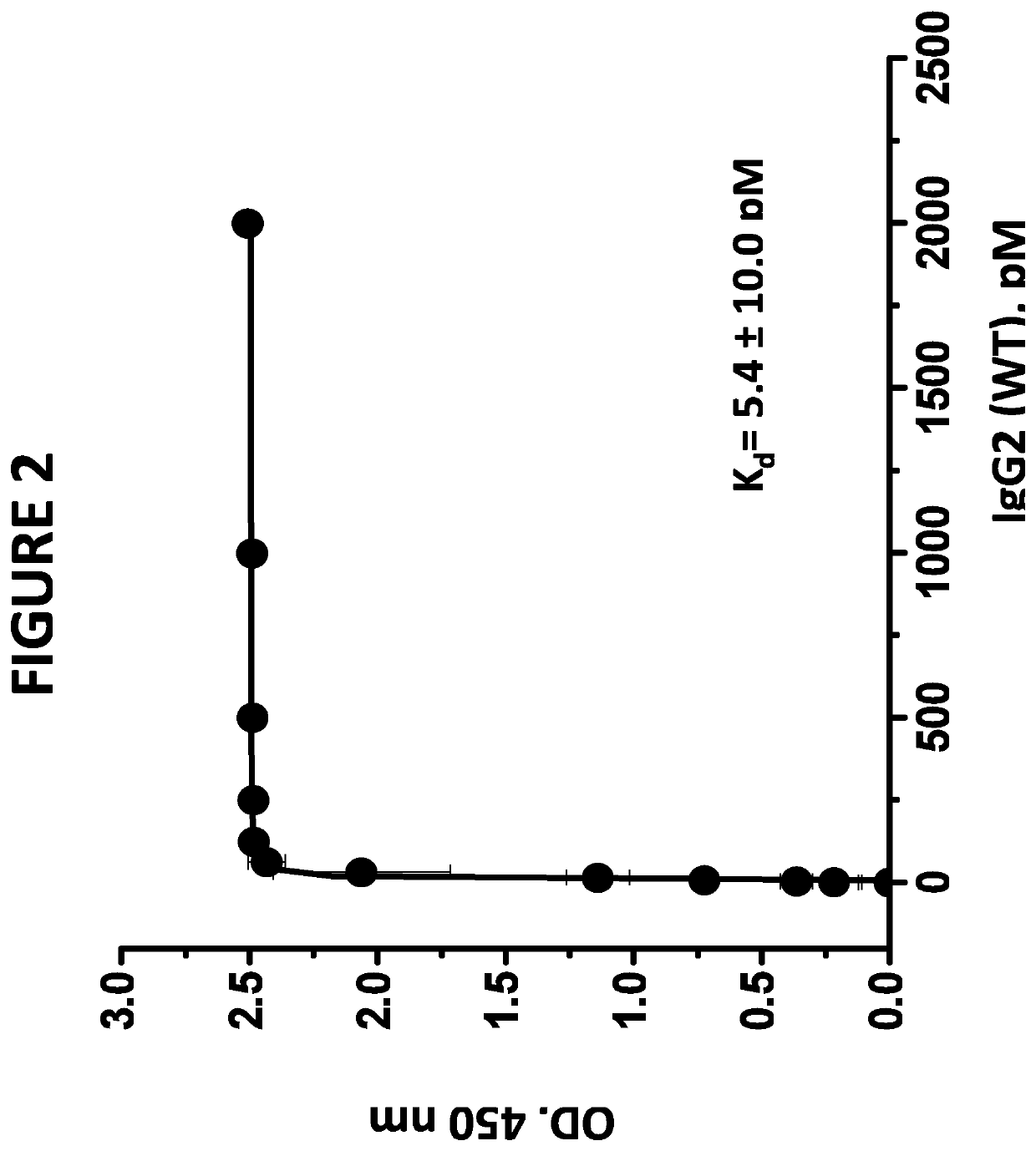 Aglycosylated anti-properdin antibodies