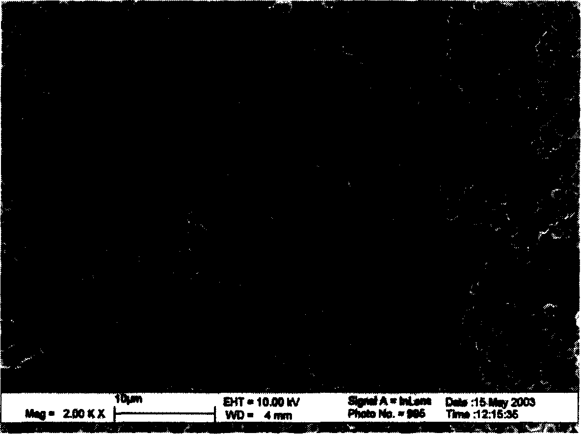 Process for preparing orientation arrangement zinc sulfide and zinc oxide nano cable composite material