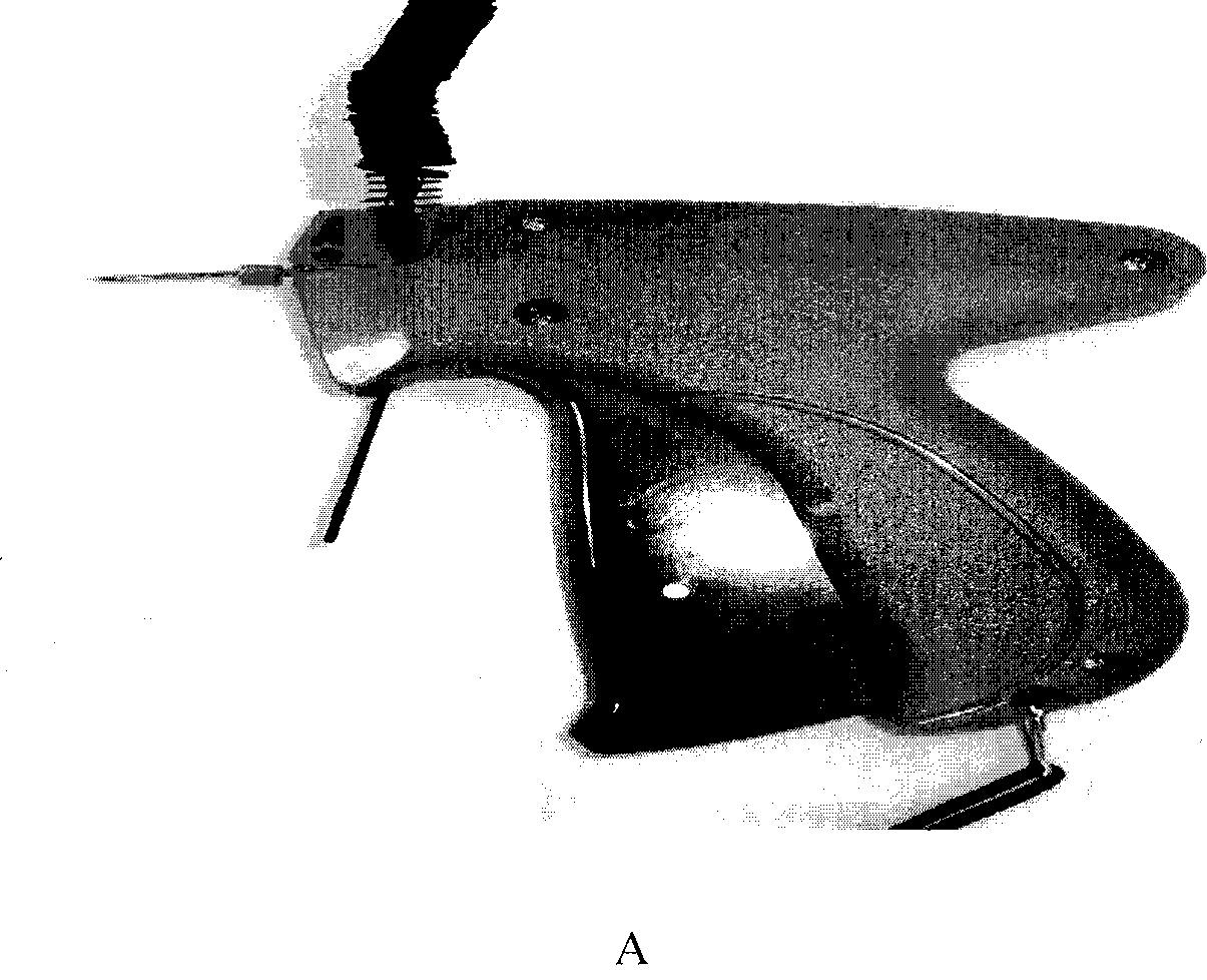 Individual marking method for selective breeding of Tilapia