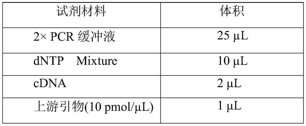 A kind of whole pig origin African swine fever virus monoclonal antibody and preparation method thereof