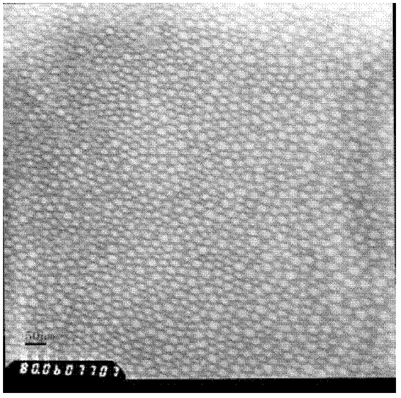 Micelle loaded with Tacrolimus or pharmaceutical salts thereof, lyophilized preparation as well as preparation methods and applications