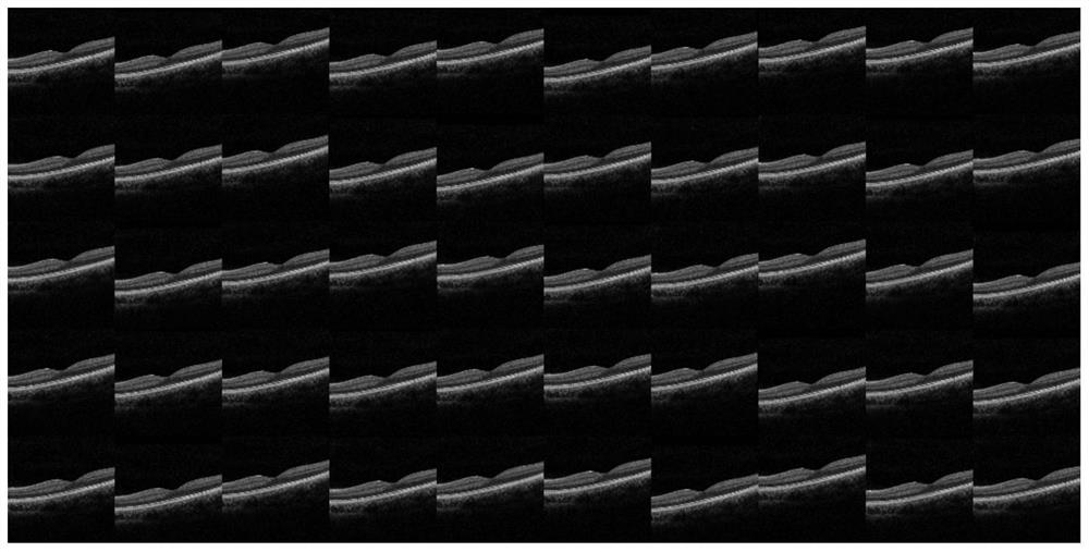 A fundus oct image fusion method and device