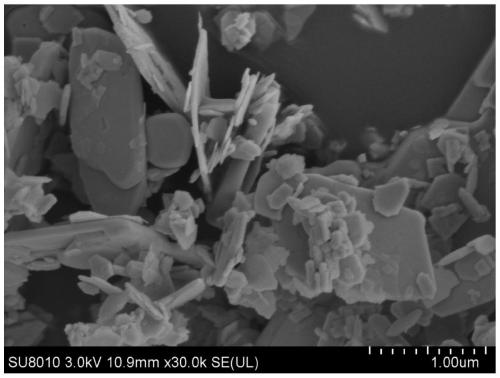 Application of Bismuth Molybdate Catalyst with Nanosheet Structure in Catalytic Synthesis of 1,3-Butadiene