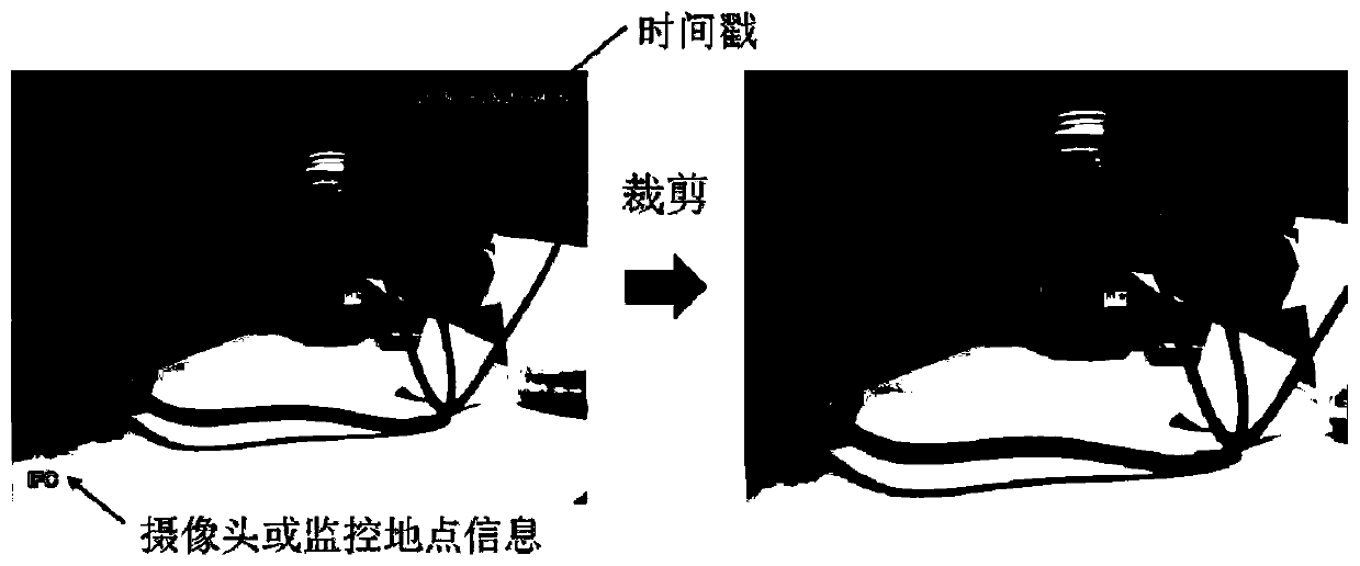 Video jitter and freezing detection method and device based on pixel time sequence motion analysis