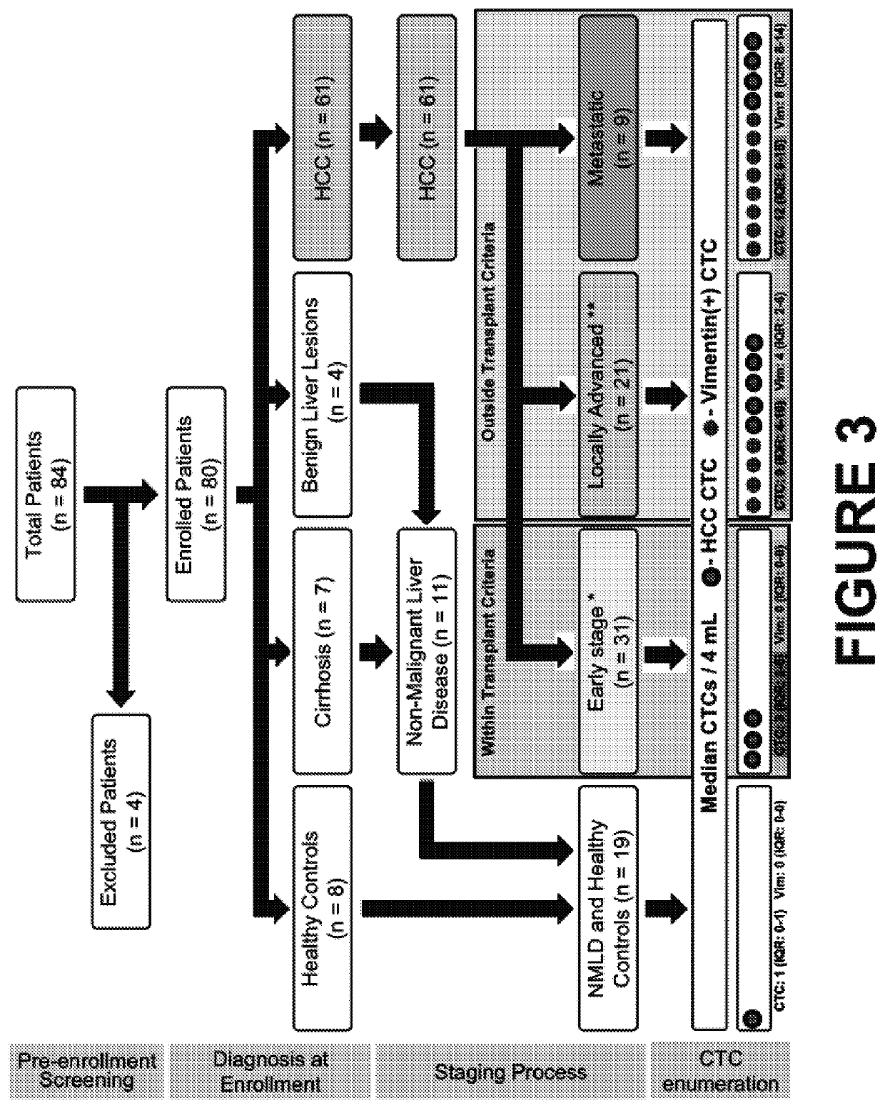 Phenotypic profiling of hepatocellular carcinoma circulating tumor cells for treatment selection