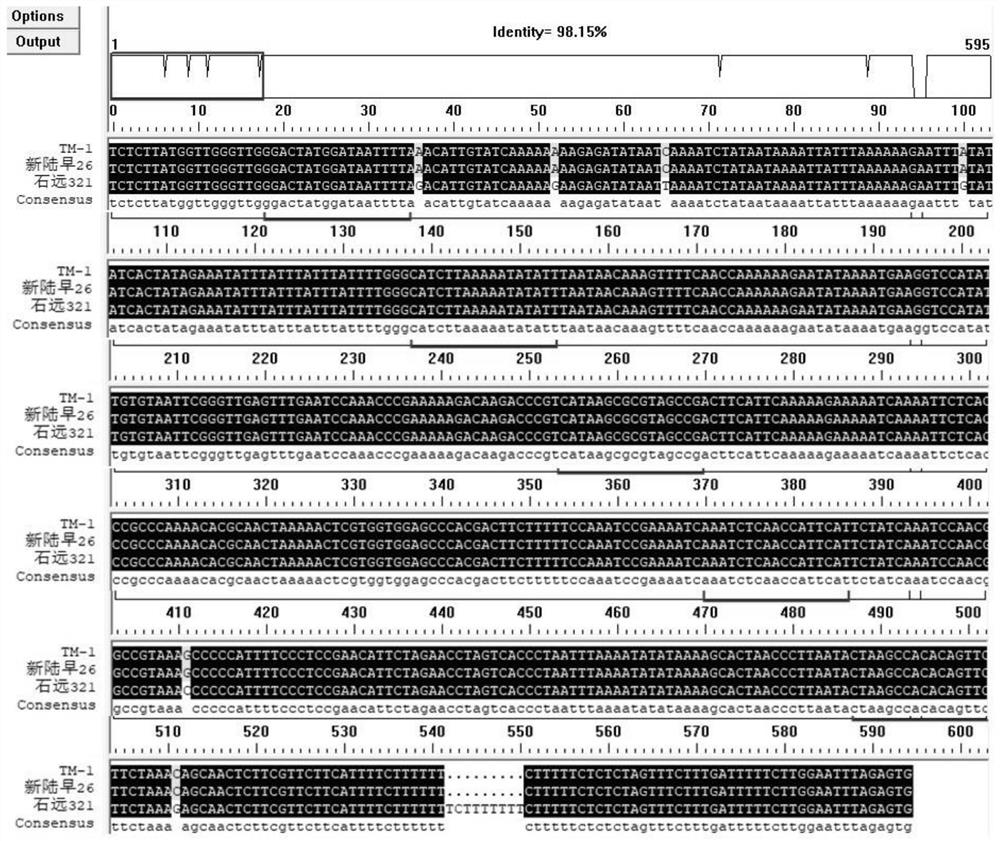 Abiotic stress inducible promoter and application thereof