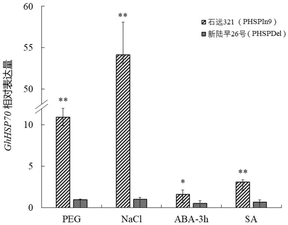 Abiotic stress inducible promoter and application thereof