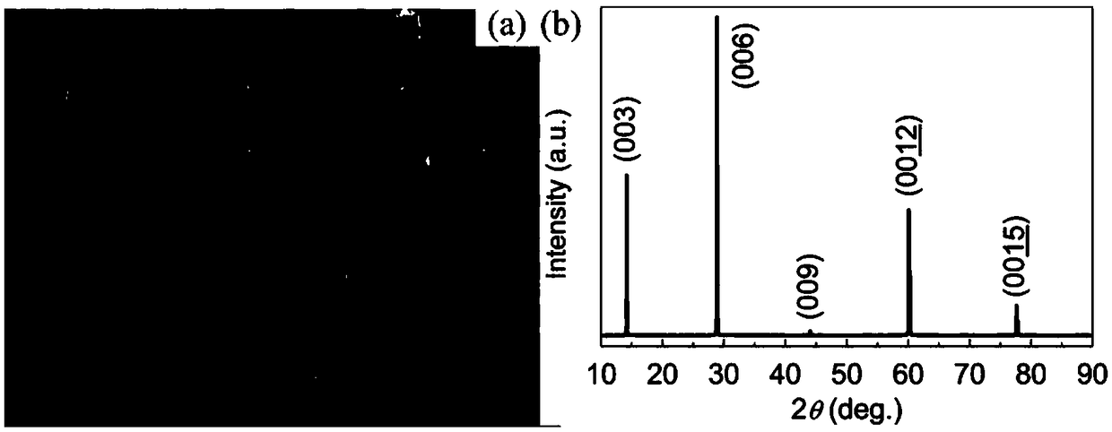 CrBr3 single crystal with magnetocaloric effect and preparation method and application thereof