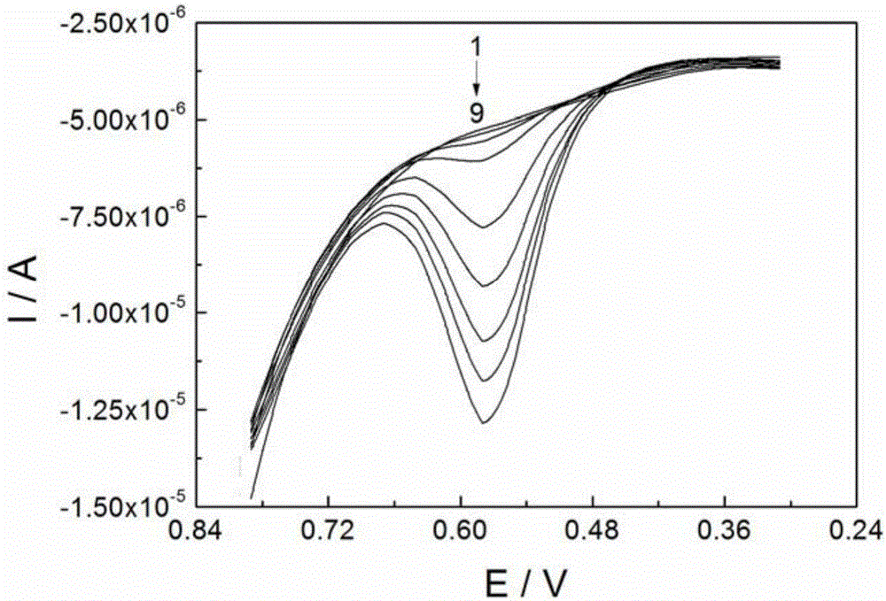 Method for electrochemically detecting synephrine by polycurcumin-nickel-carbon nanotube paste electrode