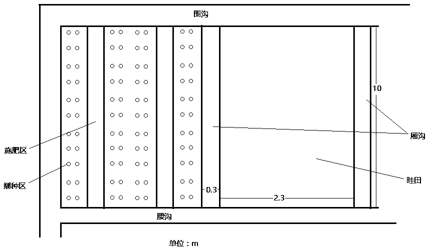 The Cultivation Method of Whole Seedlings and Strong Plants of Maize