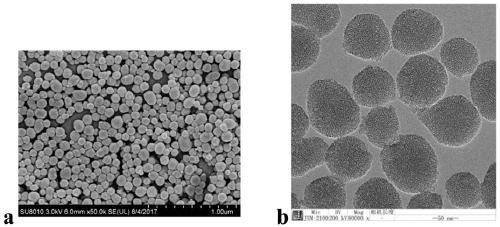 Sol system used for preparing pH-sensitive double-network hydrogel, hydrogel and application