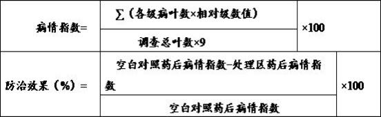 A kind of bacillus polymyxa water-soluble fertilizer and its preparation method and application