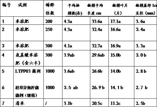 A kind of bacillus polymyxa water-soluble fertilizer and its preparation method and application