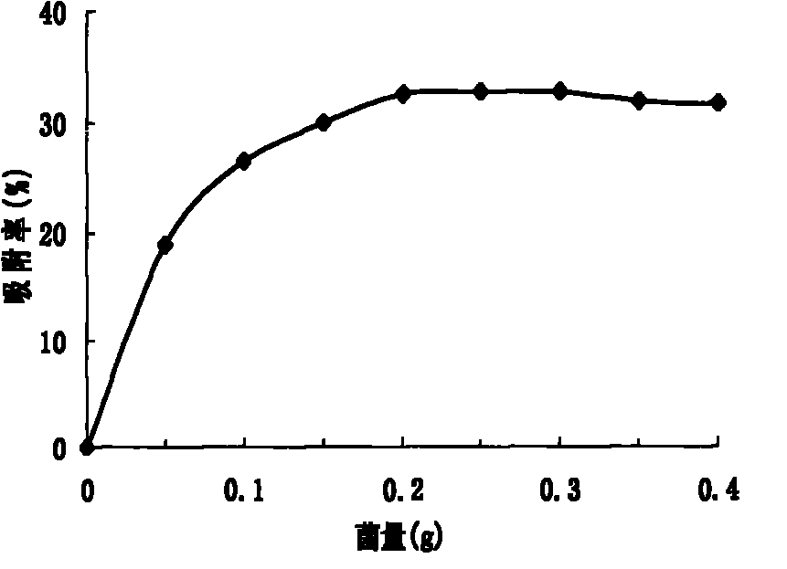 Acinetobacter and application thereof to biological treatment of heavy metal ions