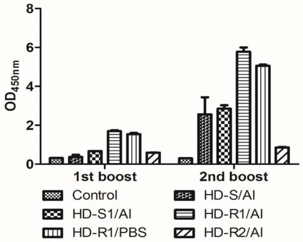 COVID-19 subunit vaccine as well as preparation method and application thereof