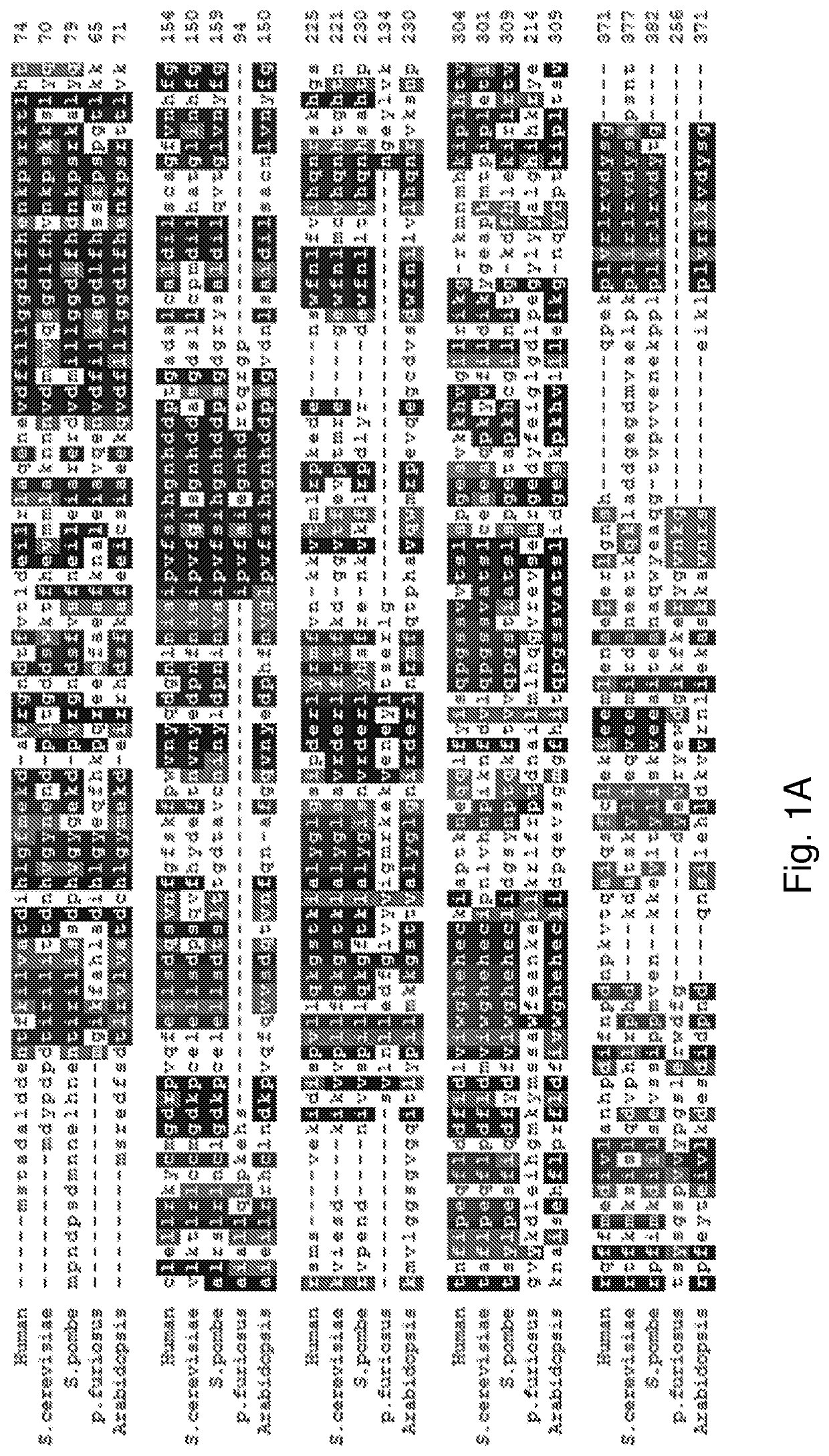 A combinational strategy for reducing random integration events when transfecting plants