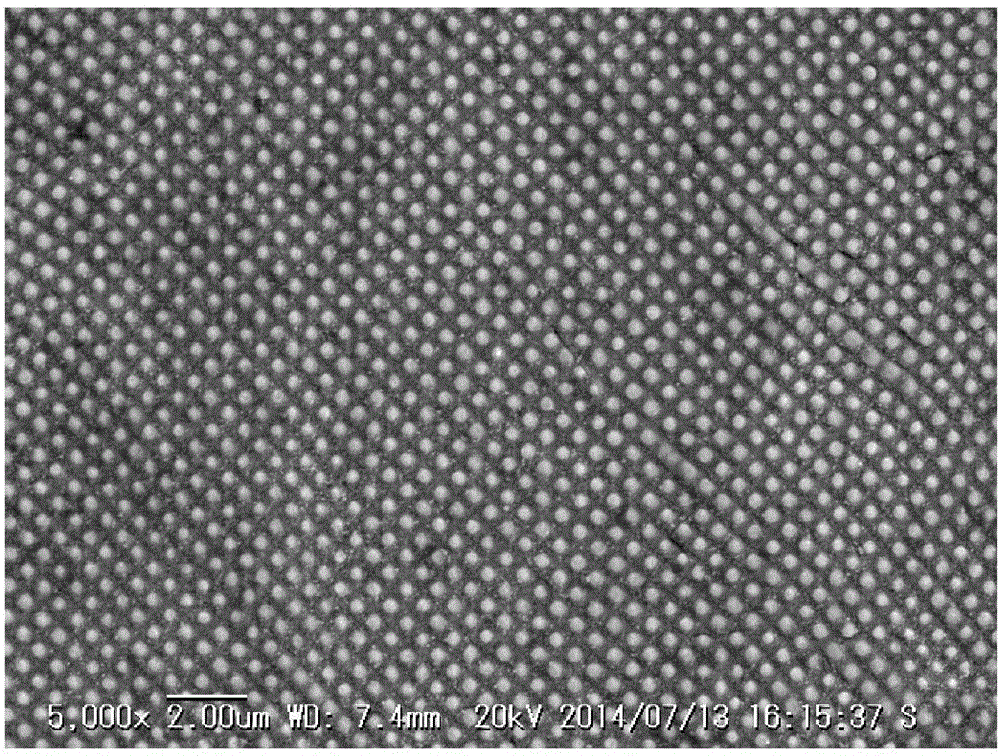 Fabrication method of femtosecond laser direct writing of large-area two-dimensional metal photonic crystal structure