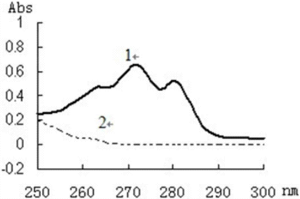 Miconazole nitrate-chitosan sustained-release vaginal gel and preparation method thereof