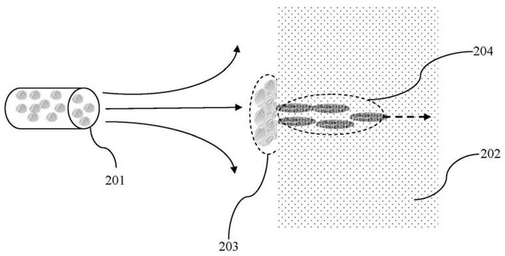 A method for controlling salt by spraying water vapor for samples of silicate cultural relics